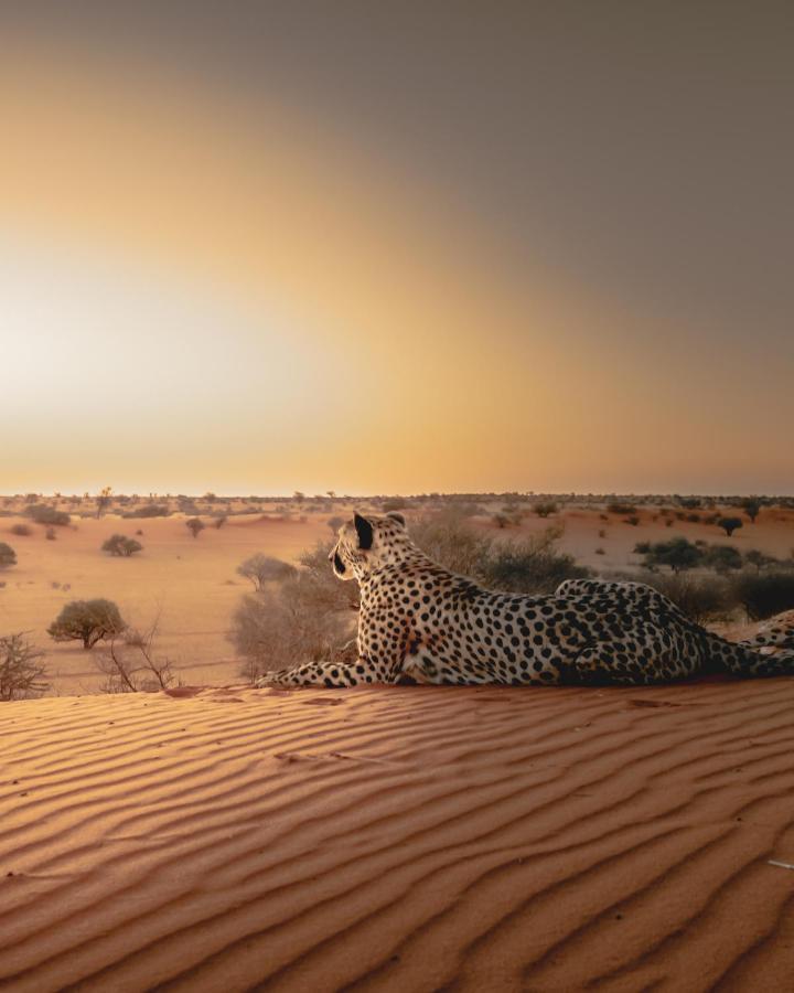 Hardap Bagatelle Kalahari Game Ranchヴィラ エクステリア 写真