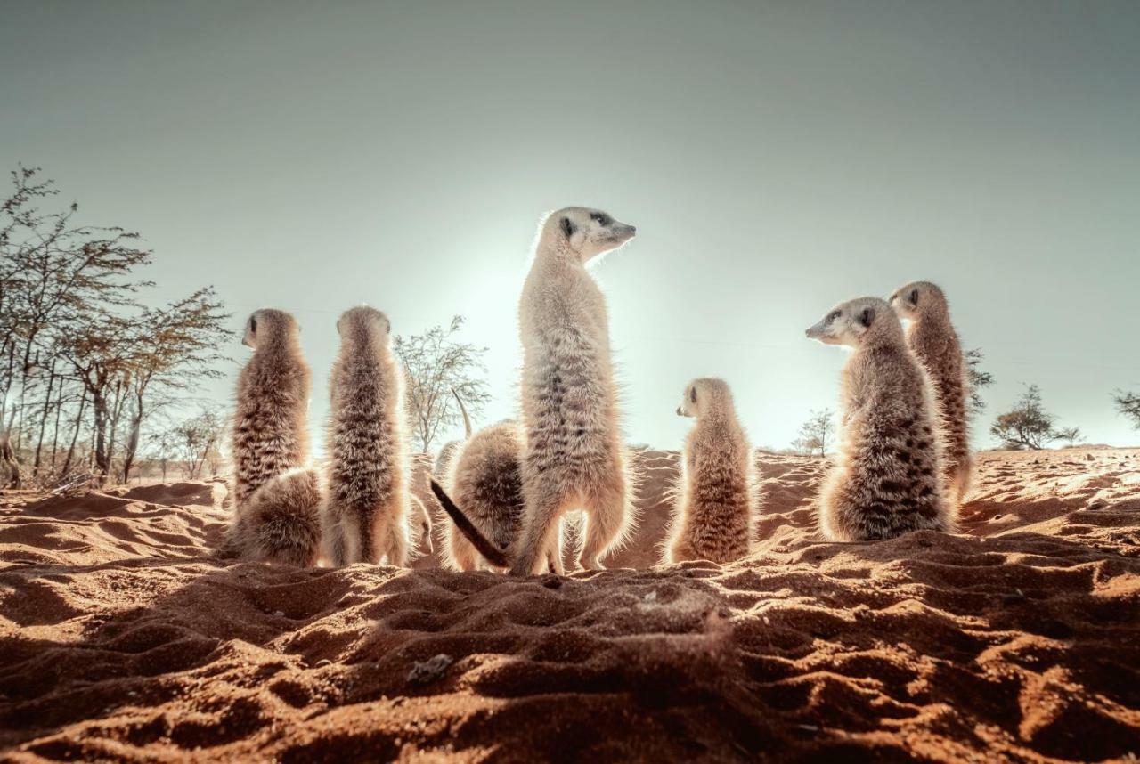 Hardap Bagatelle Kalahari Game Ranchヴィラ エクステリア 写真