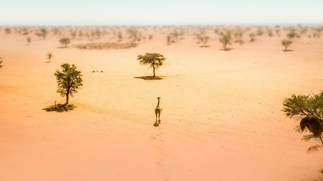 Hardap Bagatelle Kalahari Game Ranchヴィラ エクステリア 写真