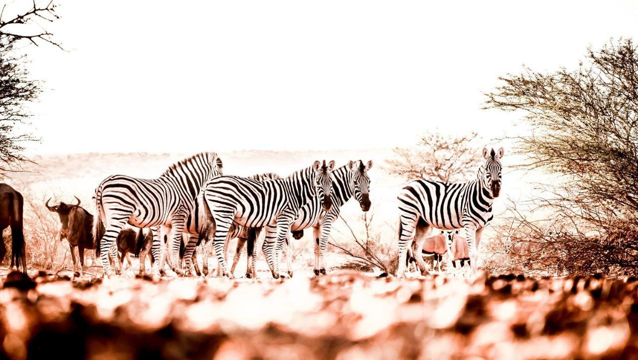 Hardap Bagatelle Kalahari Game Ranchヴィラ エクステリア 写真