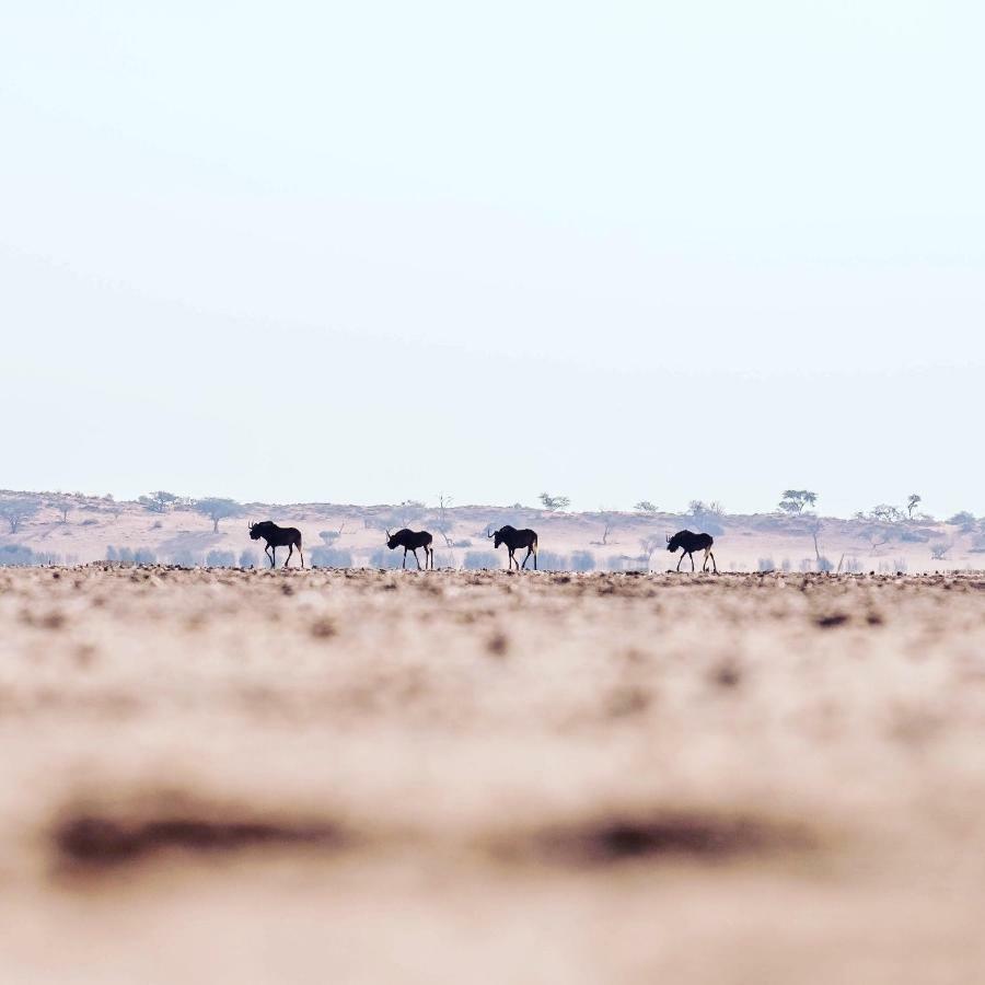 Hardap Bagatelle Kalahari Game Ranchヴィラ エクステリア 写真