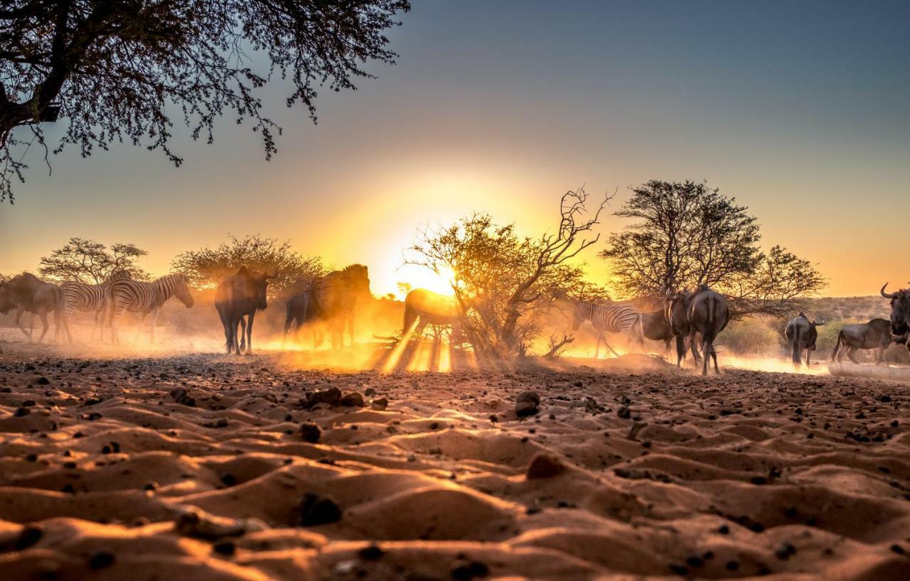 Hardap Bagatelle Kalahari Game Ranchヴィラ エクステリア 写真