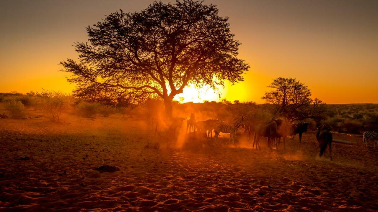 Hardap Bagatelle Kalahari Game Ranchヴィラ エクステリア 写真