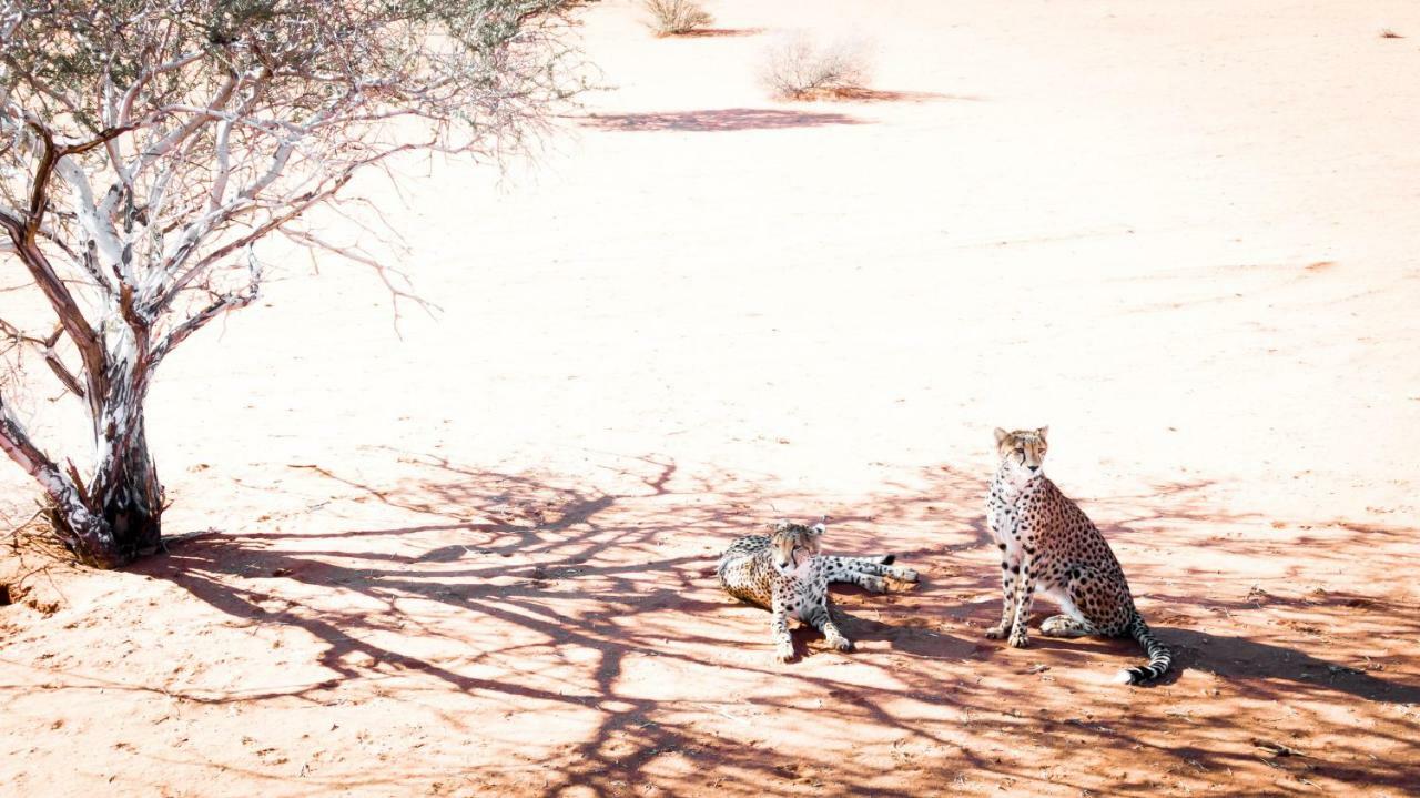 Hardap Bagatelle Kalahari Game Ranchヴィラ エクステリア 写真