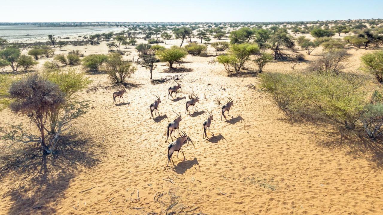 Hardap Bagatelle Kalahari Game Ranchヴィラ エクステリア 写真